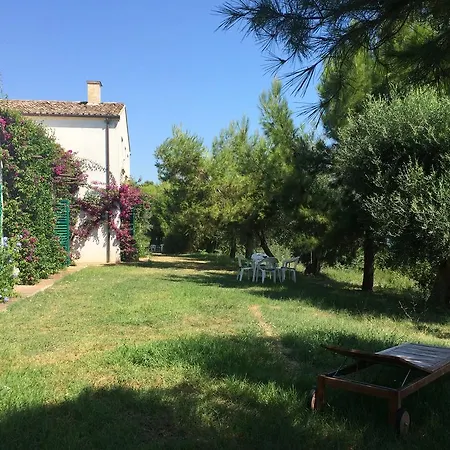 Bouganville